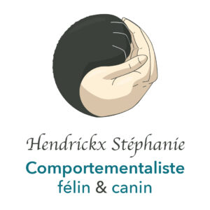 Logo Stephandco